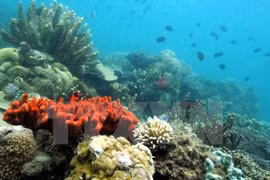 Vietnam acelera la investigación de recursos naturales y medio marino