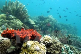 Vietnam acelera la investigación de recursos naturales y medio marino