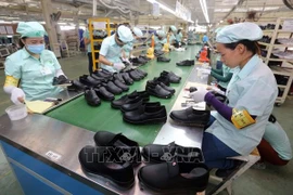 Fábricas de calzado vietnamitas dominan mercado de exportación
