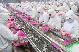 Vietnam aspira a convertirse en centro mundial de procesamiento de productos acuícolas