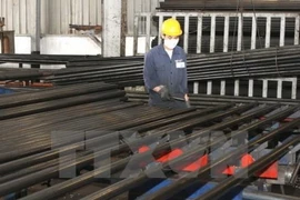 Grupo vietnamita de Hoa Phat importará materias primas de Australia