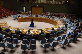 Vietnam resalta la confidencialidad en aplicación de tecnología en operaciones de paz de la ONU 