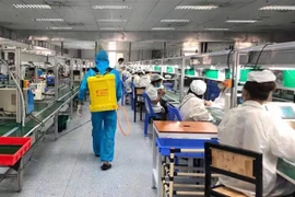 Gobierno vietnamita plantea acelerar vacunación contra COVID-19 para trabajadores