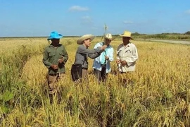 Cuba desea recibir inversiones vietnamitas en agricultura 
