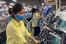 Provincia vietnamita Vinh Phuc apoya mejora de capacidad de producción de establecimientos 