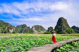 Vietnam tiene potencialidades para desarrollar el turismo rural