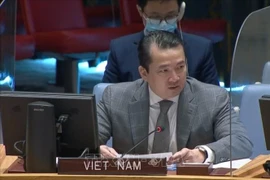 Vietnam condena el uso de armas químicas ante la ONU