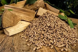 Vietnam se erige en el segundo exportador mundial de pellets de madera