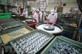 Vietnam estimula inversión extranjera en 157 proyectos en el período 2021-2025