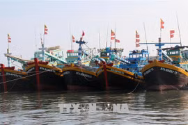 Provincia de Kien Giang refiuerza combate contra la pesca ilegal