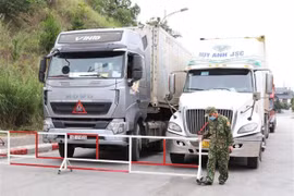 Provincia vietnamita trabaja por vigorizar comercio fronterizo con China