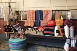 Efectuarán exposición para resaltar valores culturales de Vietnam