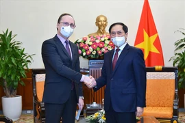 Robustecen nexos de asociación estratégica integral Vietnam-Rusia