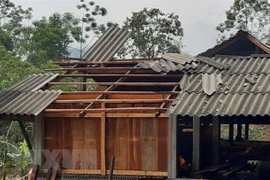 Al menos un muerto y dos heridos por fuertes lluvias en provincia vietnamita