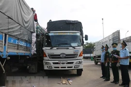 Provincia vietnamita registra exportaciones multimillonarias por puertas fronterizas