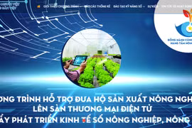 Lanzan portal electrónico para apoyar producción agrícola en Vietnam