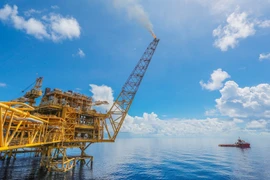 Necesitan reajustar trámites para inversión en proyectos petroleros de Vietnam