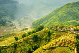 Forbes: Provincia vietnamita de Lao Cai entre las cinco maravillas naturales del Sudeste Asiático