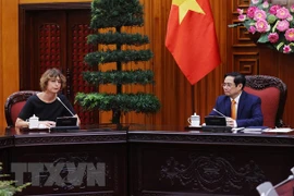 Inversores neerlandeses se interesan en cooperación portuaria y logística en Vietnam 