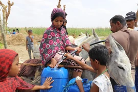 Vietnam exhorta a ofrecer más asistencia a Yemen