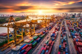 Perspectivas de cooperación en numerosos campos entre Vietnam y Bélgica