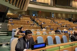 India aprecia contribuciones de Vietnam al Consejo de Seguridad de la ONU