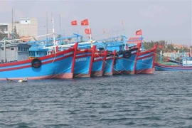 Vietnam se esmera en promover la pesca responsable y sostenible