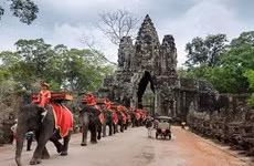 Destacan atención de OMT en actualizar a turistas sobre políticas de entrada a Camboya