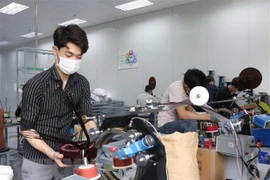Vietnam dispone de potencialidades para atraer inversiones extranjeras directas