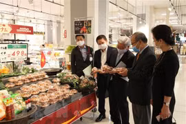 Buscan promover cooperación entre Vietnam y prefectura japonesa de Kagoshima