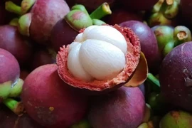 Vietnam apunta a ingresar 41 mil millones de dólares por exportaciones agrícolas en 2021