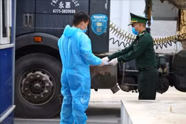 COVID-19: Provincia vietnamita de Quang Ninh intensifica control fronterizo