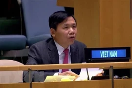 Vietnam apoya operaciones de Misión de Asistencia de las Naciones Unidas en Sudán del Sur