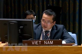Vietnam apoya la salida de combatientes extranjeros y mercenarios de Libia