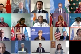 Vietnam destaca avances en la organización de elecciones en Palestina