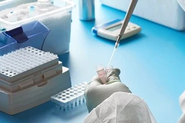 Científicos de Singapur descubren cóctel de fármacos eficaz contra el COVID-19