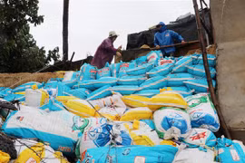 Aceleran localidades costeras de Vietnam medidas de respuesta a supertifón Rai