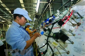 Destaca periódico alemán desarrollo económico de Vietnam