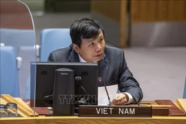 Vietnam exhorta a promover proceso de paz en Oriente Medio