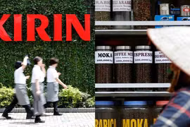 Empresa japonesa apoya a agricultores de café vietnamitas en producción sostenible