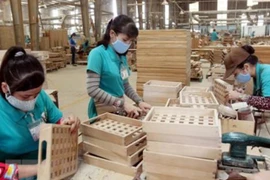 Vietnam, con gran potencial para exportar madera a Francia