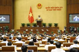 Proponen mantener estructura organizativa del Gobierno vietnamita