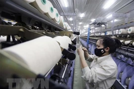 Descarta la India aplicación de impuestos antidumping a fibras artificiales vietnamitas