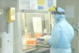 COVID-19: Vietnam supera los 20 mil casos