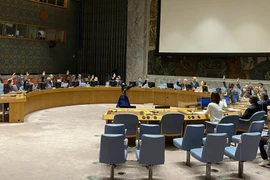 Vietnam apoya lucha contra la proliferación de armas de destrucción masiva