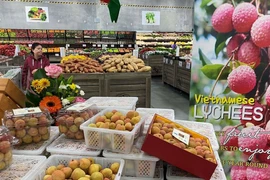 Exportaciones de productos agrícolas vietnamitas a Australia registran resultados positivos
