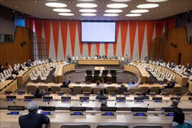 Vietnam apoya el proceso electoral democrático en Somalia