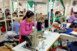 Provincia vietnamita de Quang Ninh implementa actividades de apoyo a personas discapacitadas