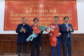 Establecen Oficina de delegación parlamentaria y Consejo Popular de Da Nang