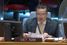 Vietnam exhorta a acelerar la transición política en Libia